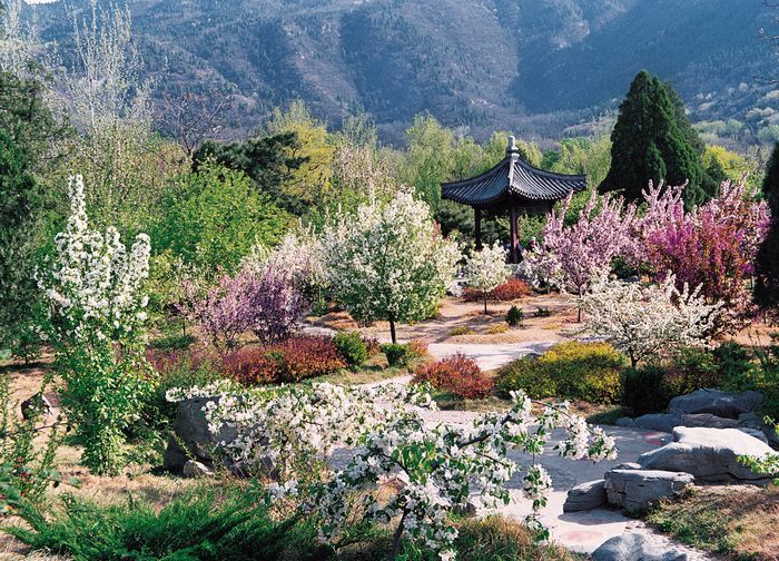 北京植物园位于京西香山脚下.距市中心23公里.有多条公交
